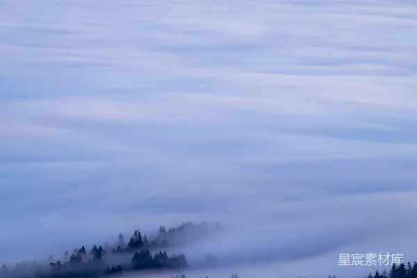 高清摄影 山脚下一片雾气缭绕的景色，树木在 foreground。