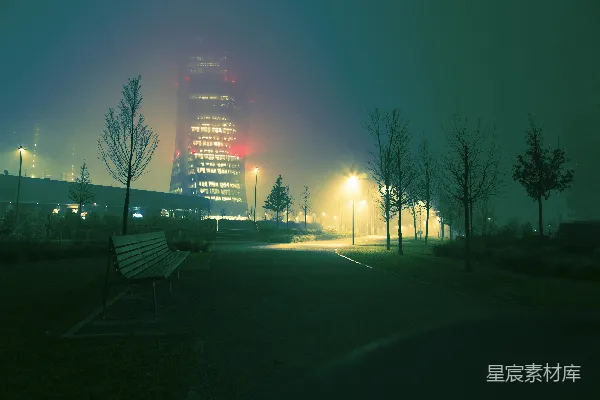 高清摄影 近处建筑物旁的绿树