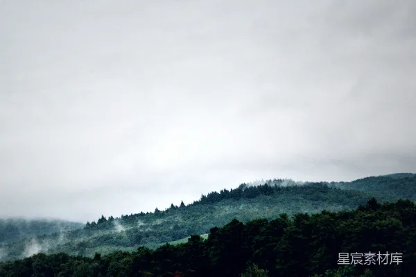 高清摄影 山间云雾缭绕，前景有树木。