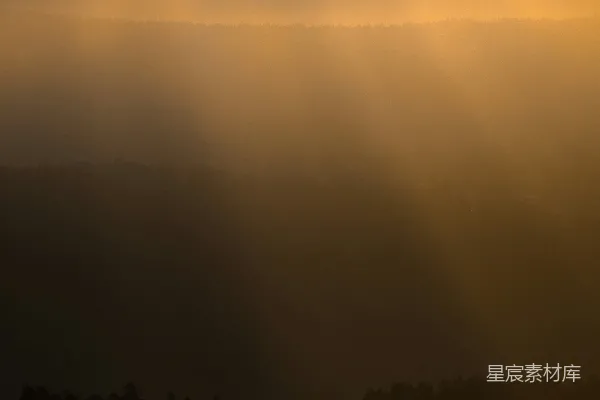 高清摄影 森林日出的风景照片