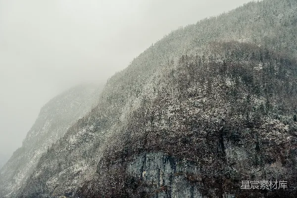 高清摄影 山脚下有一片覆盖着白雪的森林。