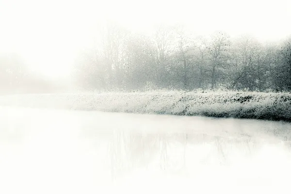 高清摄影 一张黑白照片，展现了一片水域