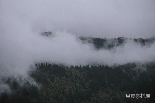 高清摄影 树上的云朵