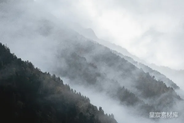 高清摄影 雾林覆盖着山脉，在柔和的光线中。