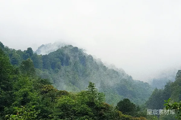 高清摄影 山中绿树白日在蓝天之下