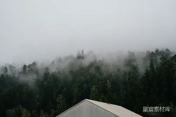 高清摄影 森林中一座被雾气笼罩的谷仓