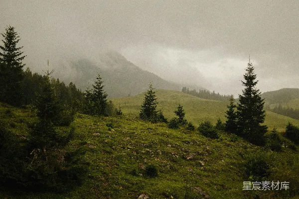 高清摄影 背景有一片草地、树木和一座山。