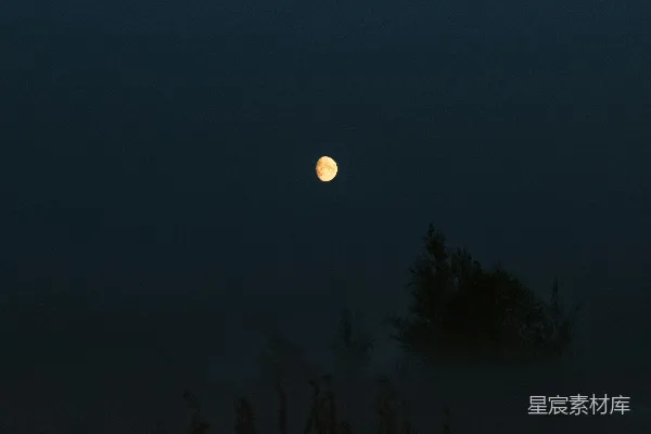 高清摄影 夜空中悬挂着一轮满月