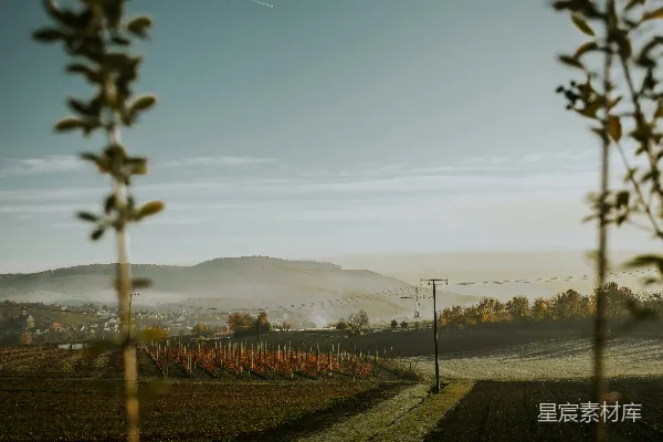 高清摄影 路旁有树，远处有一片田地，有篱笆和一座山。