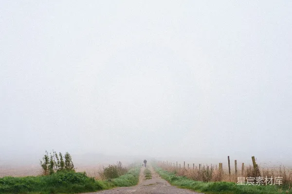 高清摄影 人在雾中沿路行走