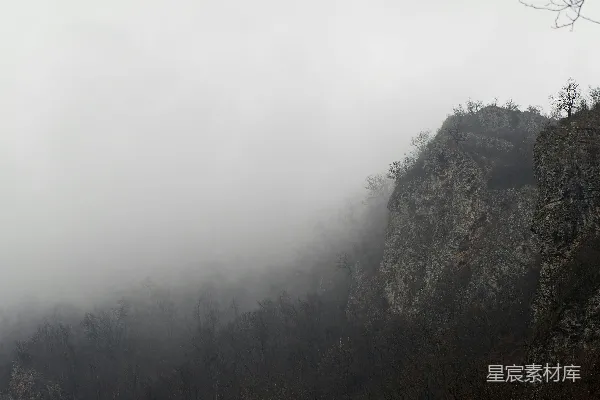 高清摄影 山中雾日的绿树