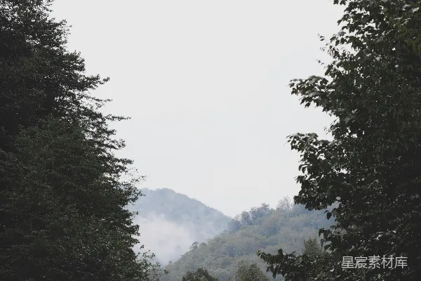 高清摄影 山间雾天绿树