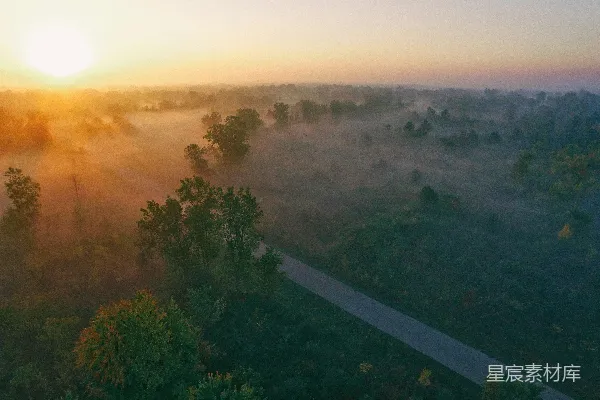 高清摄影 白天拍摄的混凝土道路附近的树木 aerial photography of concrete road near trees at daytime