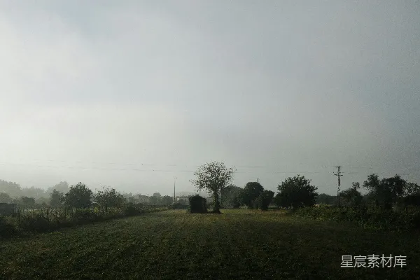 高清摄影 树中间的房子里，田野里，灰暗的天空中