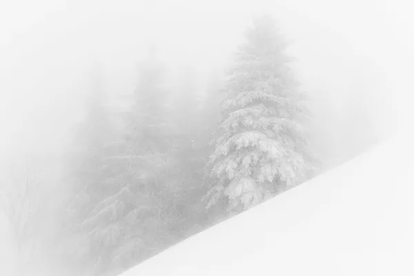高清摄影 滑雪板爱好者正在滑下一条雪地斜坡