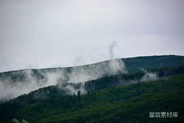 高清摄影 云雾缭绕的山林中的一个阴天景象