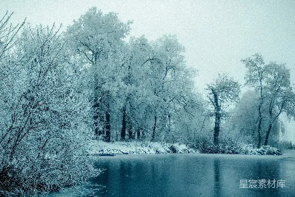 高清摄影 被树木覆盖着白雪的湖泊周边被树木环绕。