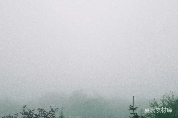高清摄影 前景中有一片雾气笼罩的田野和一棵树以及一个长凳。