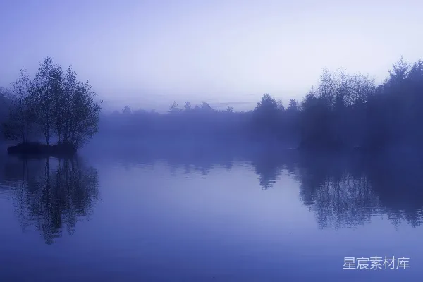 高清摄影 湖畔雾气缭绕，树影在水中摇曳。