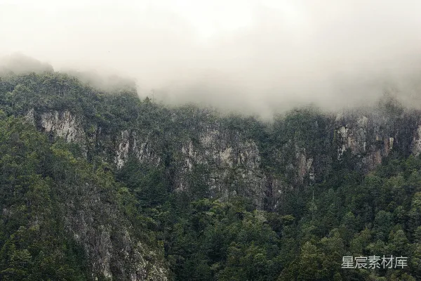 高清摄影 山间白天绿树