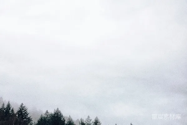 高清摄影 灰云下的绿树