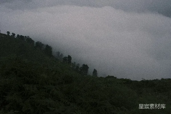 高清摄影 云层覆盖的山顶和树木在阴天中的景象