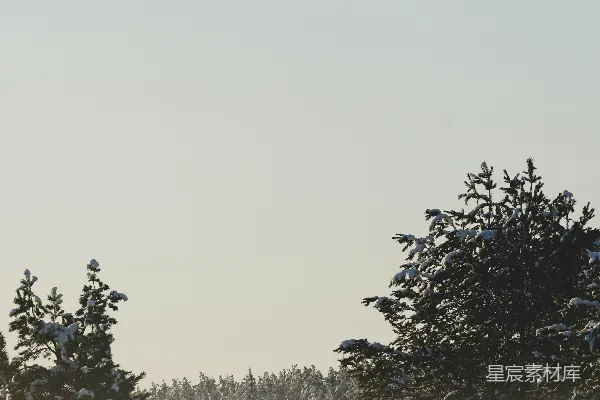 高清摄影 滑雪者在雪面上滑行