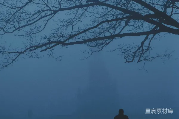 高清摄影 一个人站在一棵树旁的雾中