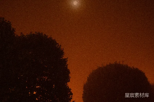 高清摄影 一个模糊的夜晚，远处有树和一轮明月。