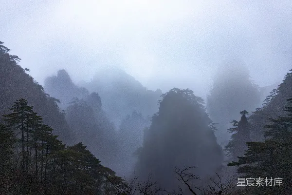 高清摄影 白云下的树在白天的景象