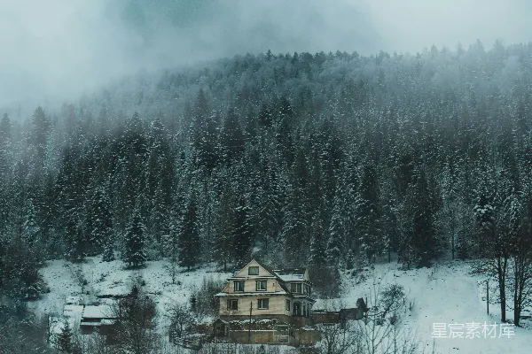 高清摄影 中雪林中的房子