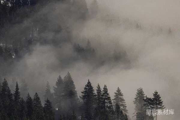 高清摄影 山间弥漫着雾气，前景有树木。