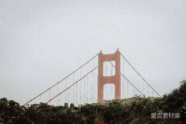 高清摄影 红桥畔有树