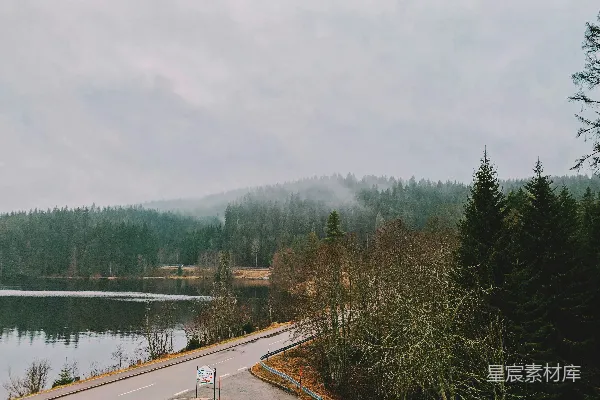 高清摄影 路边有树和湖的路在白天