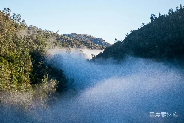 高清摄影 山间白天绿树