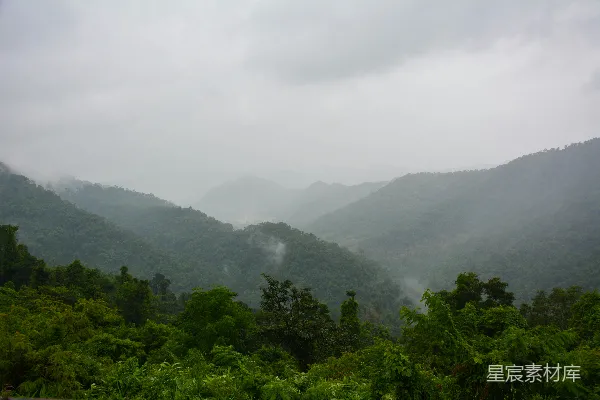 高清摄影 山中白天绿树