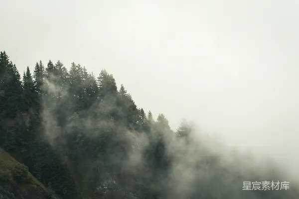 高清摄影 云雾缭绕的山和树在阴天中的景象