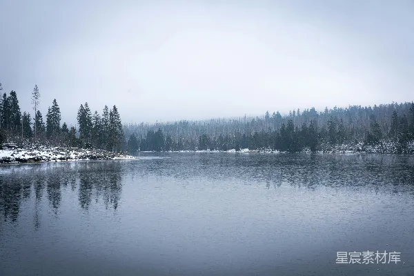高清摄影 被雪覆盖的树木环绕的一片水域