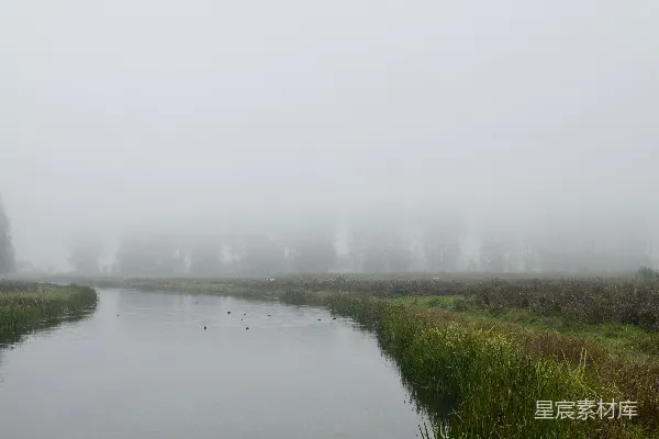 高清摄影 一个被草和雾环绕的水域