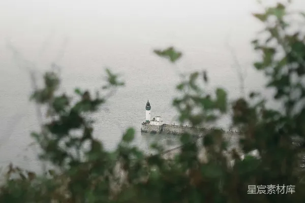 高清摄影 森林中的塔