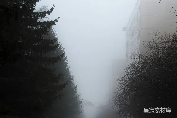 高清摄影 一个行人走在有树木和建筑物在背景的道路旁