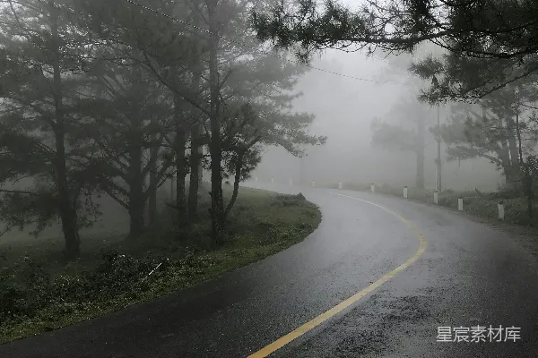 高清摄影 森林中一条雾气弥漫的小路