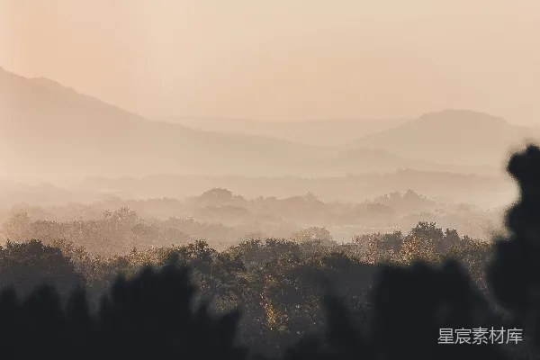 高清摄影 前景中有树木的山脉景色