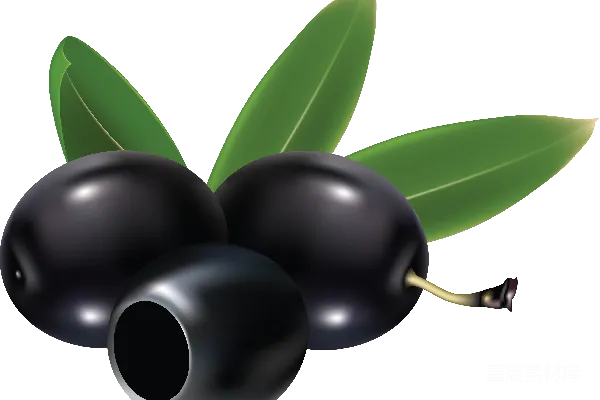 元素素材 PNG