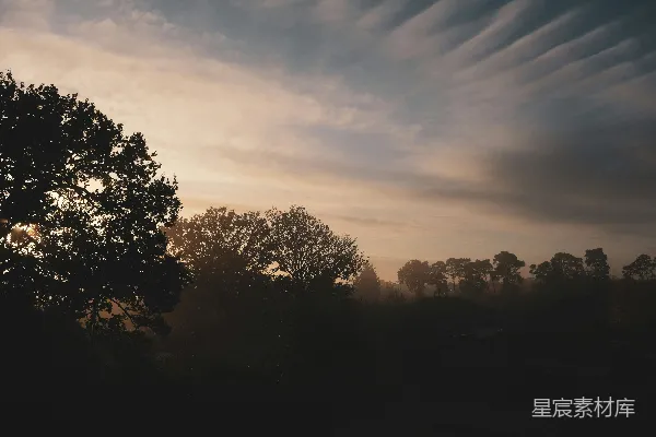 高清摄影 夕阳落在一些树后