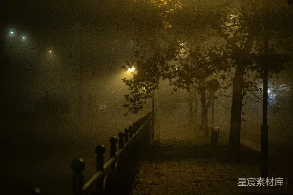 高清摄影 一个有街灯和树木的雾夜