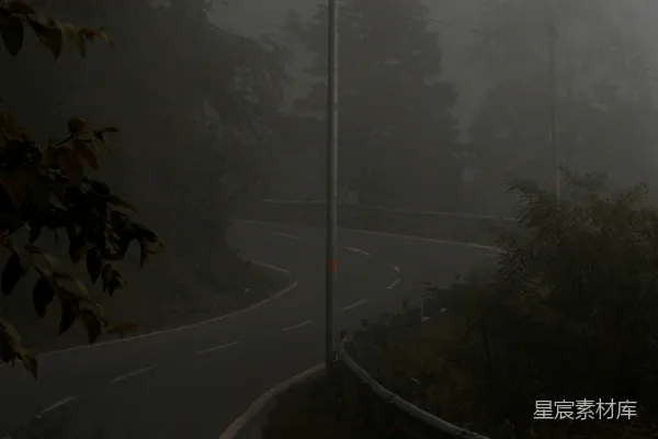 高清摄影 雾气弥漫森林中蜿蜒的道路