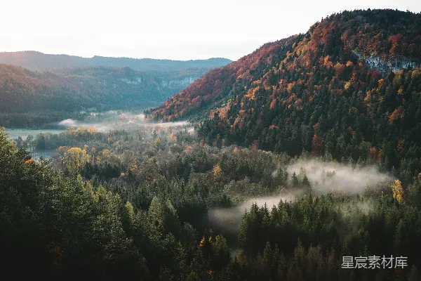 高清摄影 山间白天的绿树