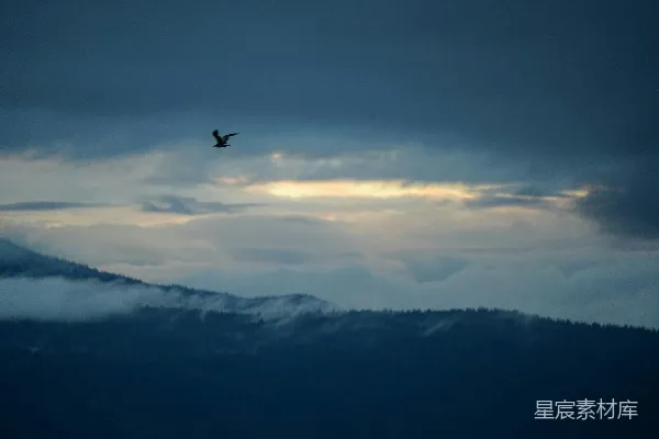 高清摄影 一只鸟穿过云层中的天空飞过山峦。