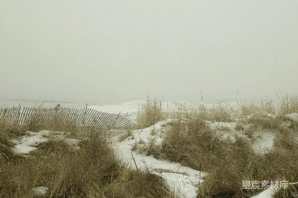 高清摄影 覆盖着白雪的田野